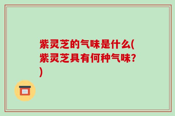 紫灵芝的气味是什么(紫灵芝具有何种气味?)