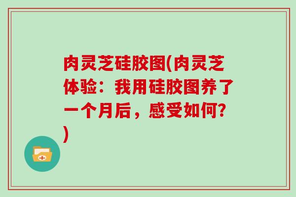 肉灵芝硅胶图(肉灵芝体验:我用硅胶图养了一个月后,感受如何?)