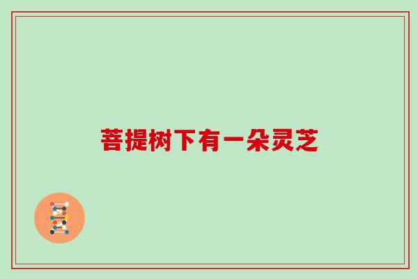菩提树下有一朵灵芝