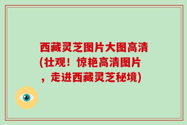 西藏灵芝图片大图高清(壮观!惊艳高清图片,走进西藏灵芝秘境)
