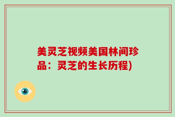 美灵芝视频美国林间珍品：灵芝的生长历程)
