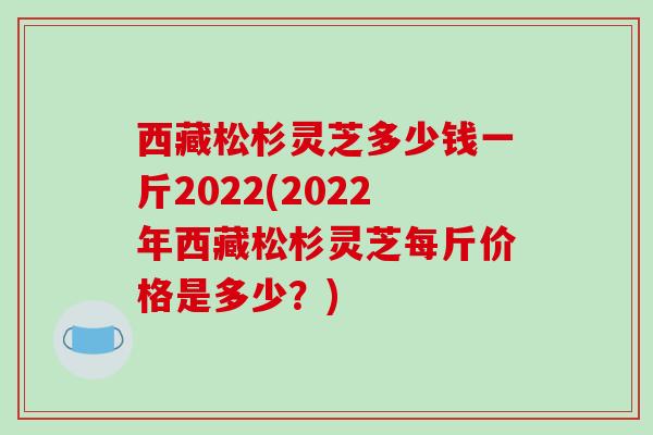 西藏松杉灵芝多少钱一斤2022(2022年西藏松杉灵芝每斤价格是多少?)