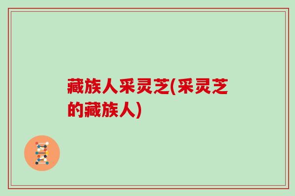 藏族人采灵芝(采灵芝的藏族人)