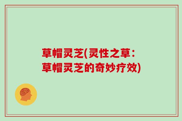 草帽灵芝(灵性之草:草帽灵芝的奇妙疗效)