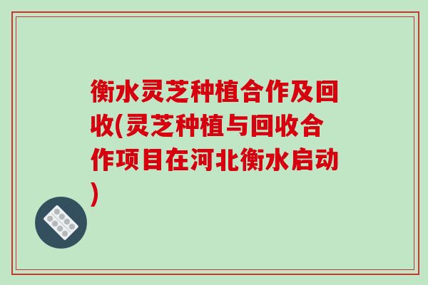 衡水灵芝种植合作及回收(灵芝种植与回收合作项目在河北衡水启动)