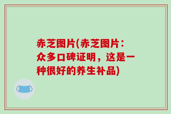 赤芝图片(赤芝图片:众多口碑证明,这是一种很好的养生补品)