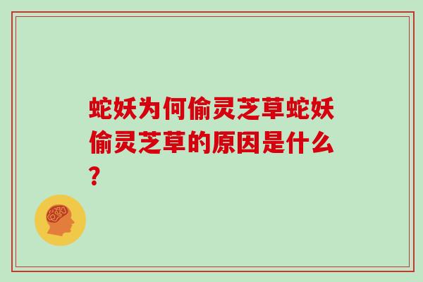 蛇妖为何偷灵芝草蛇妖偷灵芝草的原因是什么？