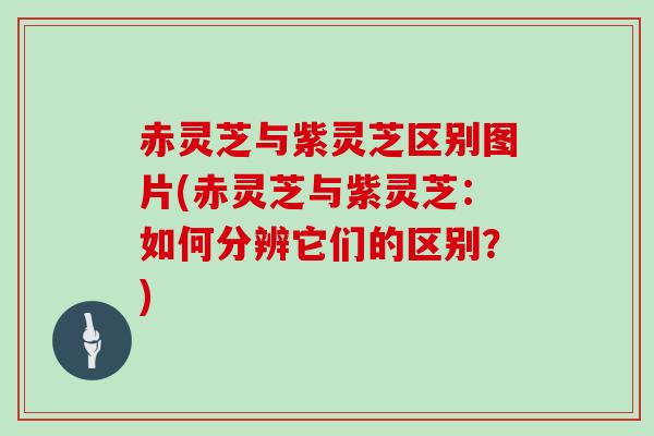 赤灵芝与紫灵芝区别图片(赤灵芝与紫灵芝:如何分辨它们的区别?)