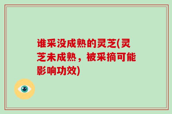 谁采没成熟的灵芝(灵芝未成熟,被采摘可能影响功效)