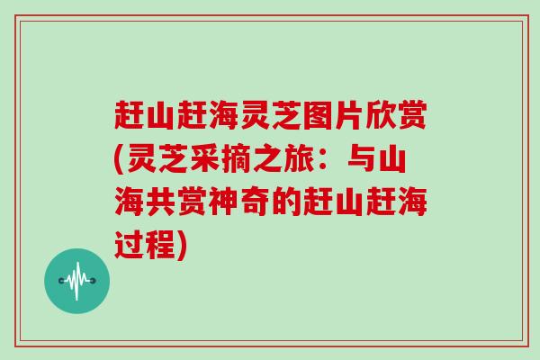 赶山赶海灵芝图片欣赏(灵芝采摘之旅:与山海共赏神奇的赶山赶海过程)