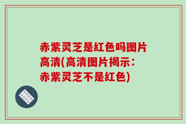赤紫灵芝是红色吗图片高清(高清图片揭示:赤紫灵芝不是红色)