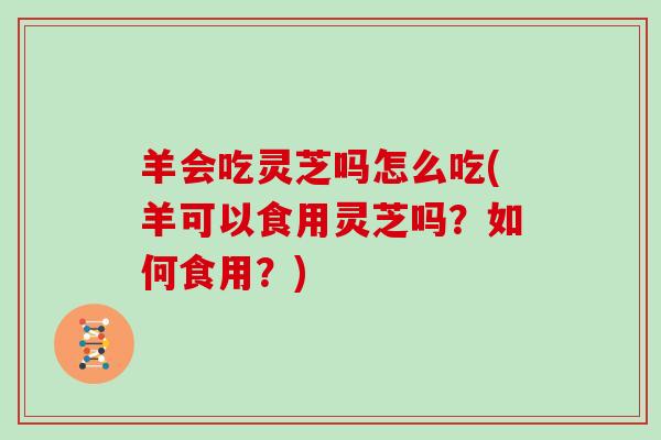 羊会吃灵芝吗怎么吃(羊可以食用灵芝吗?如何食用?)