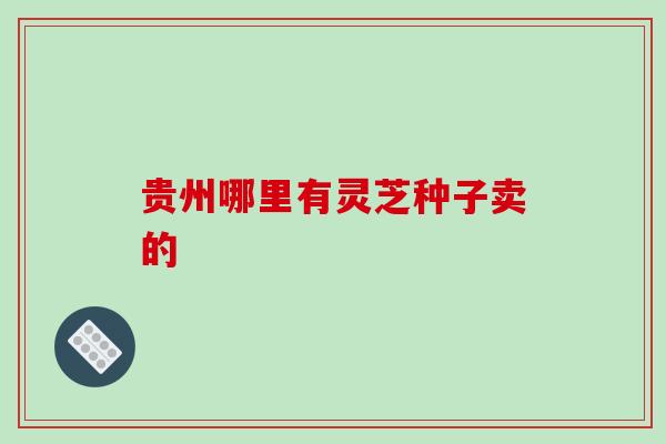 贵州哪里有灵芝种子卖的