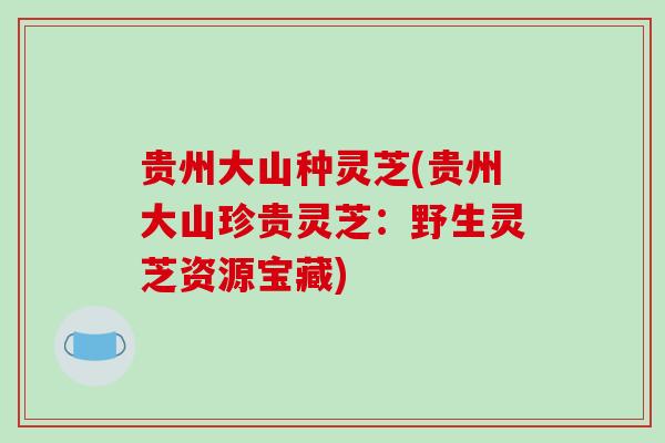 贵州大山种灵芝(贵州大山珍贵灵芝:野生灵芝资源宝藏)