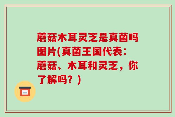 蘑菇木耳灵芝是真菌吗图片(真菌王国代表：蘑菇、木耳和灵芝，你了解吗？)