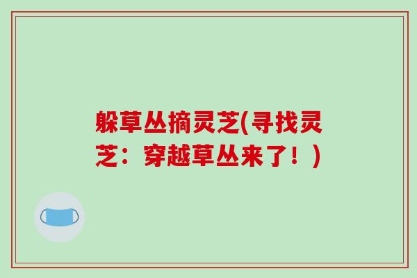躲草丛摘灵芝(寻找灵芝:穿越草丛来了!)