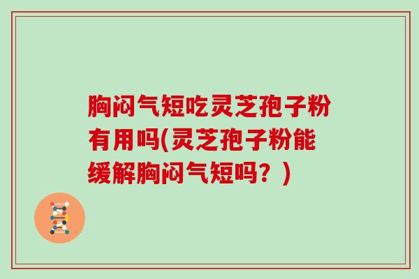 胸闷气短吃灵芝孢子粉有用吗(灵芝孢子粉能缓解胸闷气短吗？)