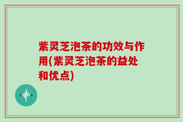 紫灵芝泡茶的功效与作用(紫灵芝泡茶的益处和优点)