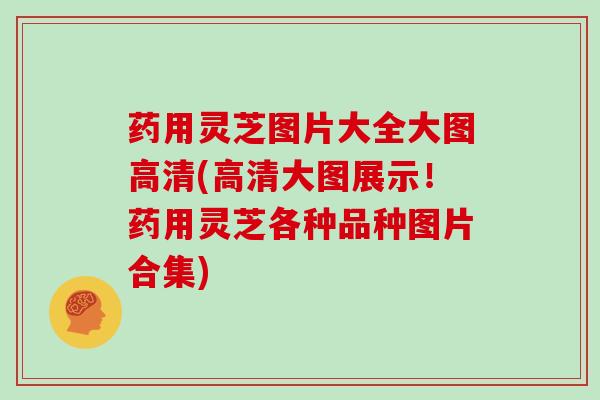 药用灵芝图片大全大图高清(高清大图展示!药用灵芝各种品种图片合集)