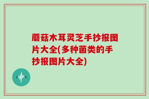 蘑菇木耳灵芝手抄报图片大全(多种菌类的手抄报图片大全)
