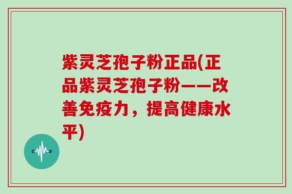 紫灵芝孢子粉正品(正品紫灵芝孢子粉——改善免疫力，提高健康水平)