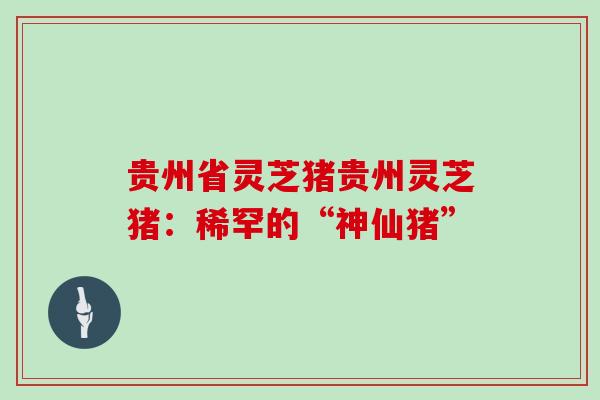 贵州省灵芝猪贵州灵芝猪:稀罕的“神仙猪”