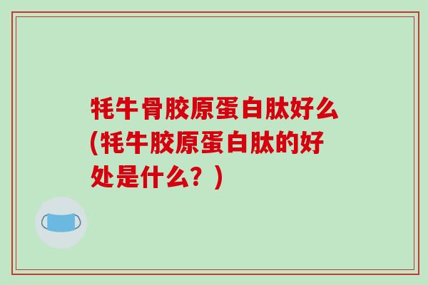 牦牛骨胶原蛋白肽好么(牦牛胶原蛋白肽的好处是什么?)