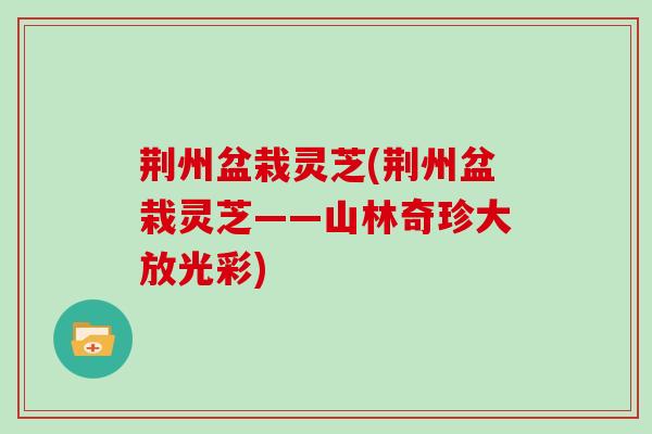 荆州盆栽灵芝(荆州盆栽灵芝——山林奇珍大放光彩)