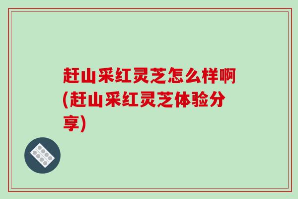 赶山采红灵芝怎么样啊(赶山采红灵芝体验分享)
