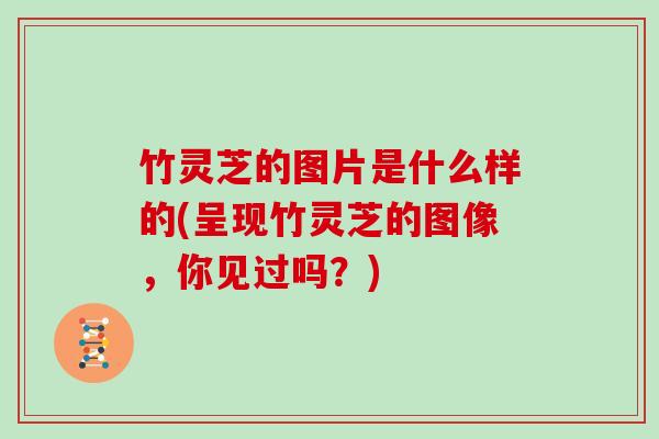 竹灵芝的图片是什么样的(呈现竹灵芝的图像，你见过吗？)