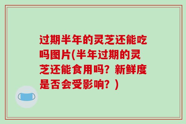 过期半年的灵芝还能吃吗图片(半年过期的灵芝还能食用吗?新鲜度是否会受影响?)