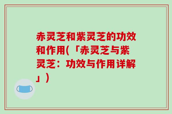 赤灵芝和紫灵芝的功效和作用(「赤灵芝与紫灵芝:功效与作用详解」)