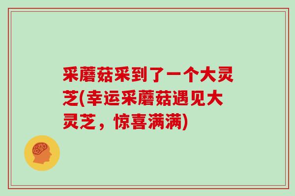 采蘑菇采到了一个大灵芝(幸运采蘑菇遇见大灵芝,惊喜满满)