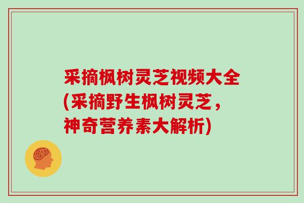 采摘枫树灵芝视频大全(采摘野生枫树灵芝,神奇营养素大解析)