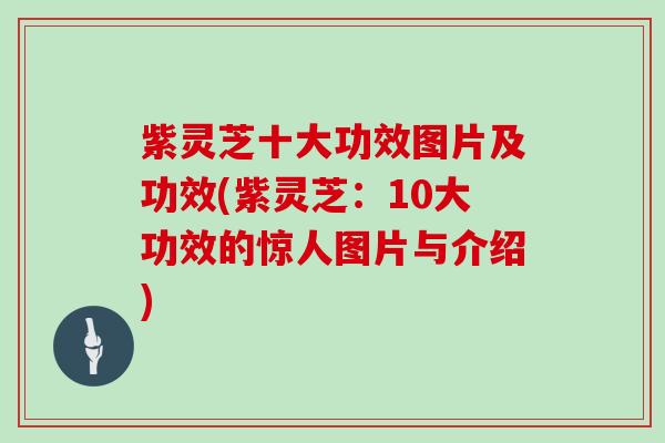 紫灵芝十大功效图片及功效(紫灵芝：10大功效的惊人图片与介绍)