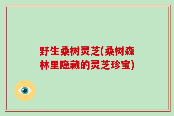 野生桑树灵芝(桑树森林里隐藏的灵芝珍宝)