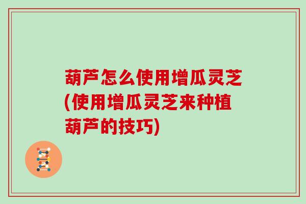 葫芦怎么使用增瓜灵芝(使用增瓜灵芝来种植葫芦的技巧)
