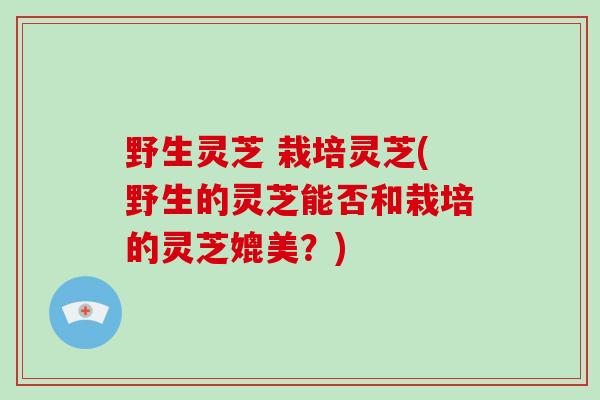 野生灵芝 栽培灵芝(野生的灵芝能否和栽培的灵芝媲美?)