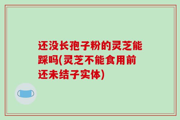 还没长孢子粉的灵芝能踩吗(灵芝不能食用前还未结子实体)