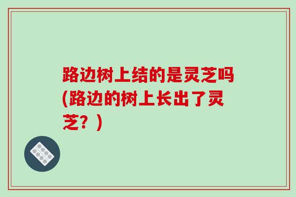 路边树上结的是灵芝吗(路边的树上长出了灵芝？)