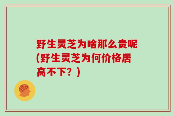 野生灵芝为啥那么贵呢(野生灵芝为何价格居高不下?)
