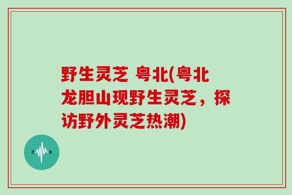 野生灵芝 粤北(粤北龙胆山现野生灵芝，探访野外灵芝热潮)