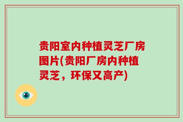 贵阳室内种植灵芝厂房图片(贵阳厂房内种植灵芝,环保又高产)