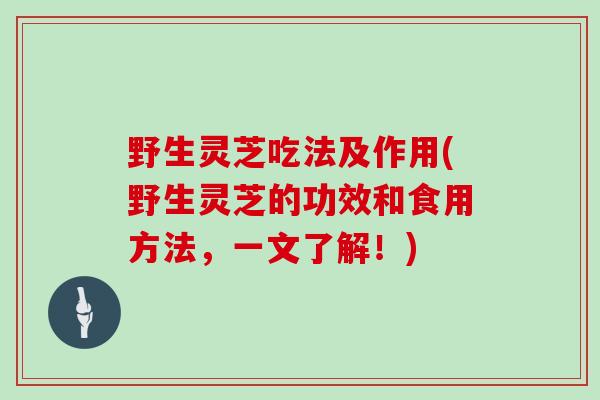 野生灵芝吃法及作用(野生灵芝的功效和食用方法,一文了解!)