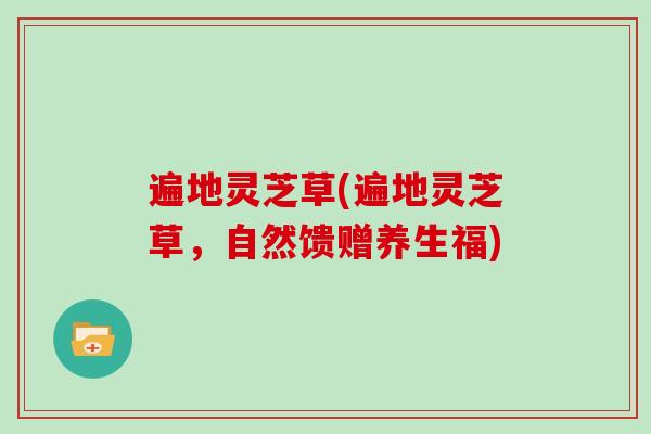 遍地灵芝草(遍地灵芝草,自然馈赠养生福)