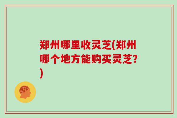 郑州哪里收灵芝(郑州哪个地方能购买灵芝?)