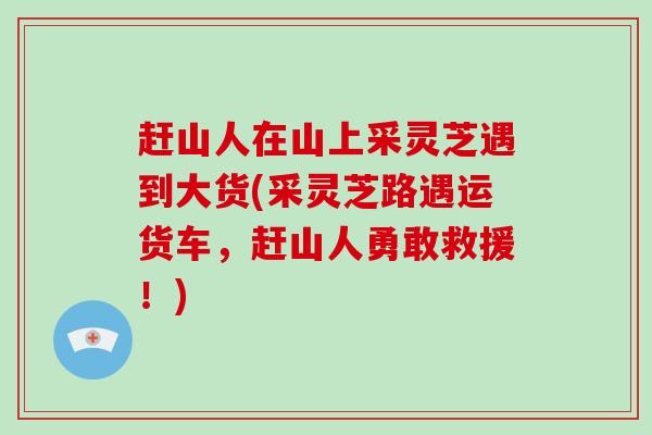 赶山人在山上采灵芝遇到大货(采灵芝路遇运货车,赶山人勇敢救援!)