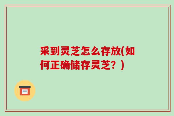 采到灵芝怎么存放(如何正确储存灵芝?)