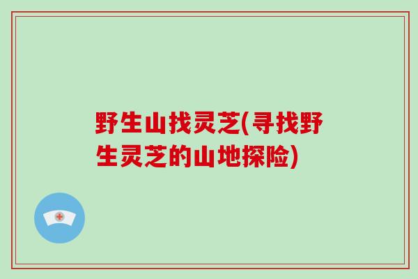 野生山找灵芝(寻找野生灵芝的山地探险)