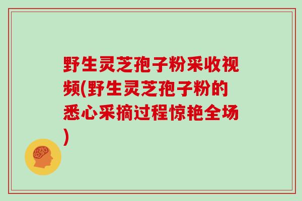 野生灵芝孢子粉采收视频(野生灵芝孢子粉的悉心采摘过程惊艳全场)